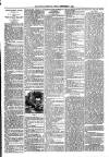 Loftus Advertiser Friday 07 September 1894 Page 7
