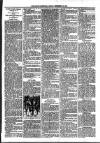 Loftus Advertiser Friday 16 November 1894 Page 3