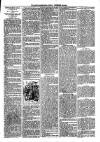 Loftus Advertiser Friday 23 November 1894 Page 3