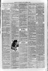 Loftus Advertiser Friday 04 January 1895 Page 3