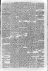 Loftus Advertiser Friday 04 January 1895 Page 5