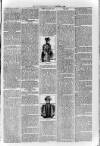 Loftus Advertiser Friday 04 January 1895 Page 7