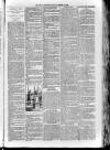 Loftus Advertiser Friday 11 January 1895 Page 3