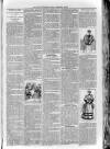 Loftus Advertiser Friday 22 February 1895 Page 3