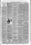 Loftus Advertiser Friday 03 May 1895 Page 7