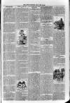 Loftus Advertiser Friday 24 May 1895 Page 3