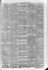Loftus Advertiser Friday 24 May 1895 Page 5