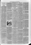 Loftus Advertiser Friday 24 May 1895 Page 7