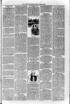Loftus Advertiser Friday 02 August 1895 Page 3