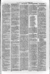 Loftus Advertiser Friday 02 August 1895 Page 5