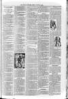 Loftus Advertiser Friday 11 October 1895 Page 7