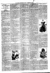 Loftus Advertiser Friday 29 January 1897 Page 6