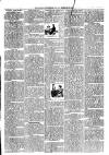 Loftus Advertiser Friday 12 February 1897 Page 3