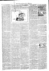 Loftus Advertiser Friday 02 July 1897 Page 2