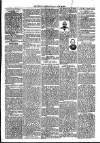 Loftus Advertiser Friday 23 July 1897 Page 3