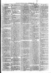 Loftus Advertiser Friday 05 November 1897 Page 5