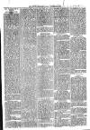 Loftus Advertiser Friday 12 November 1897 Page 3