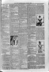Loftus Advertiser Friday 03 February 1899 Page 7