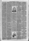 Loftus Advertiser Friday 07 April 1899 Page 3