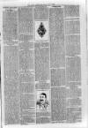 Loftus Advertiser Friday 07 July 1899 Page 3