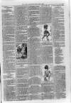 Loftus Advertiser Friday 07 July 1899 Page 7