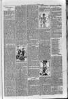 Loftus Advertiser Friday 05 January 1900 Page 7