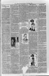 Loftus Advertiser Friday 02 February 1900 Page 3