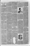 Loftus Advertiser Friday 02 February 1900 Page 7