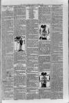 Loftus Advertiser Friday 02 March 1900 Page 7