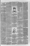 Loftus Advertiser Friday 09 March 1900 Page 3