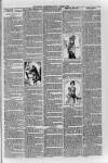 Loftus Advertiser Friday 09 March 1900 Page 7