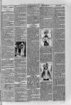 Loftus Advertiser Friday 16 March 1900 Page 7