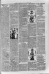 Loftus Advertiser Friday 23 March 1900 Page 7