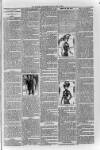 Loftus Advertiser Friday 04 May 1900 Page 7