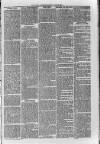 Loftus Advertiser Friday 29 June 1900 Page 5