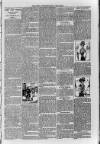 Loftus Advertiser Friday 29 June 1900 Page 7