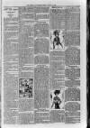 Loftus Advertiser Friday 10 August 1900 Page 7