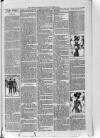 Loftus Advertiser Friday 28 December 1900 Page 7