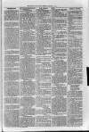 Loftus Advertiser Friday 04 January 1901 Page 5