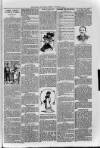 Loftus Advertiser Friday 04 January 1901 Page 7