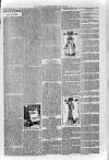 Loftus Advertiser Friday 31 May 1901 Page 7