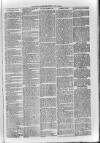 Loftus Advertiser Friday 12 July 1901 Page 5