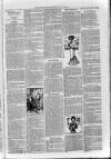 Loftus Advertiser Friday 12 July 1901 Page 7