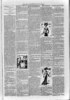 Loftus Advertiser Friday 26 July 1901 Page 7