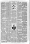 Loftus Advertiser Friday 02 August 1901 Page 3