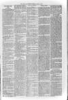Loftus Advertiser Friday 02 August 1901 Page 5