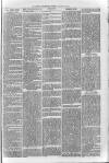 Loftus Advertiser Friday 03 January 1902 Page 5