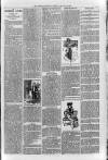 Loftus Advertiser Friday 10 January 1902 Page 7