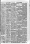 Loftus Advertiser Friday 17 January 1902 Page 5