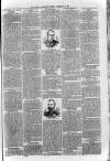 Loftus Advertiser Friday 28 February 1902 Page 3